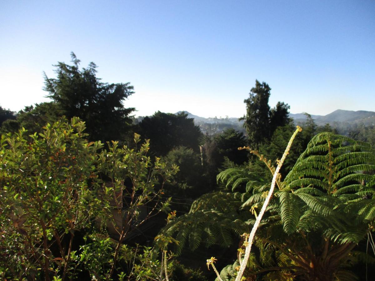 Redwood Homestay 努沃勒埃利耶 外观 照片