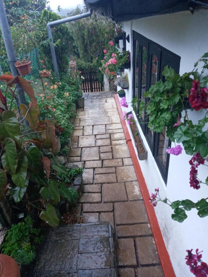 Redwood Homestay 努沃勒埃利耶 外观 照片